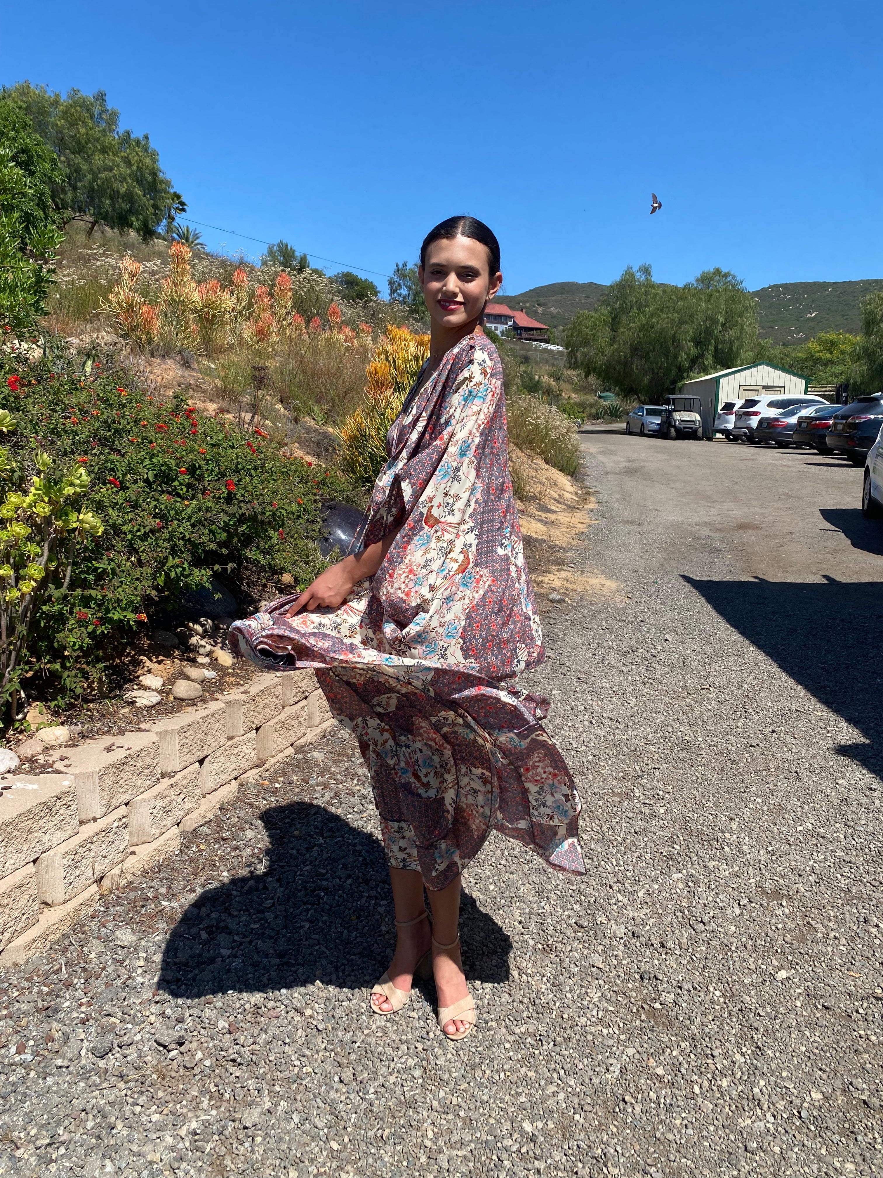 Samsara  V Dress