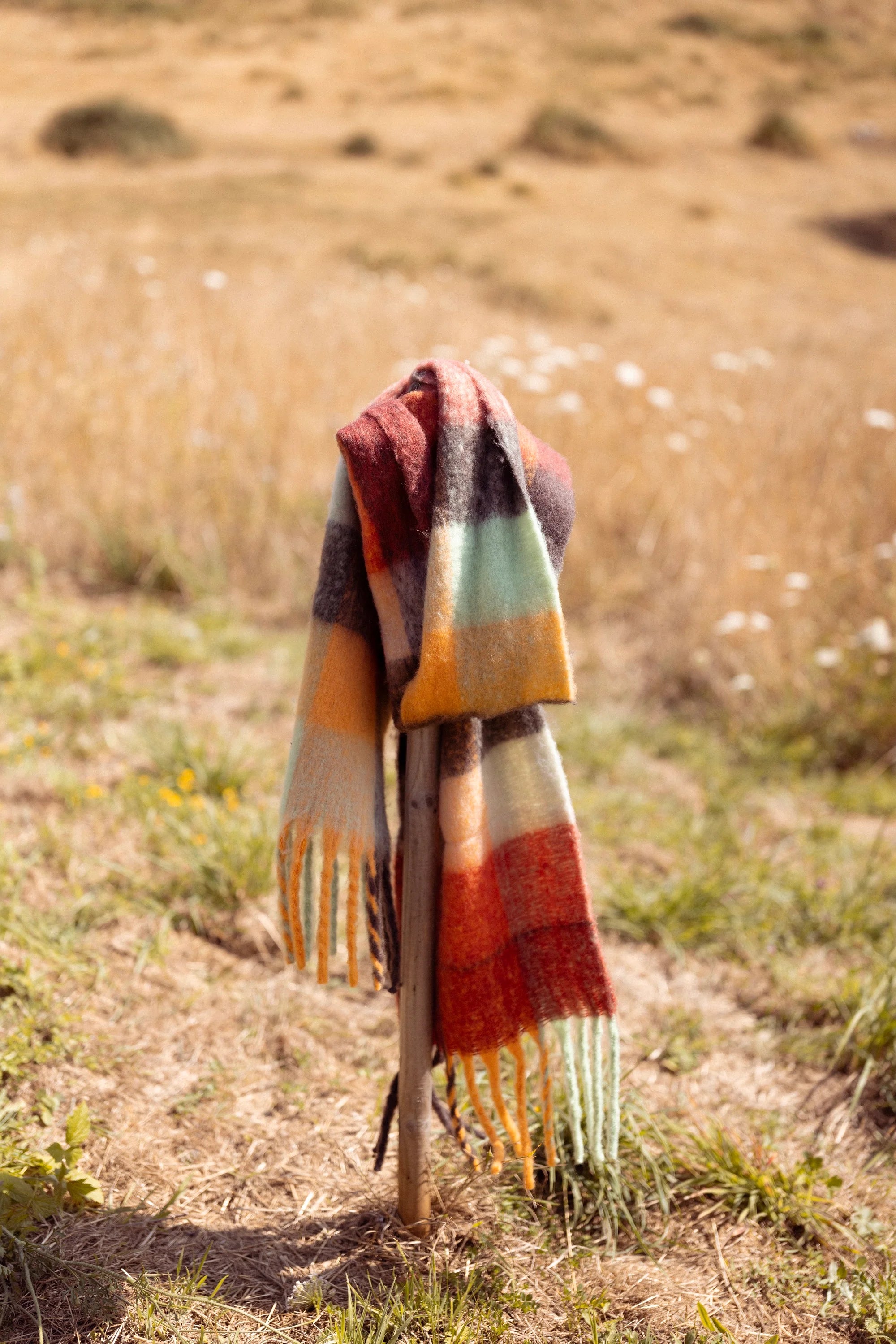 Lustica Checkered Scarf, Brown