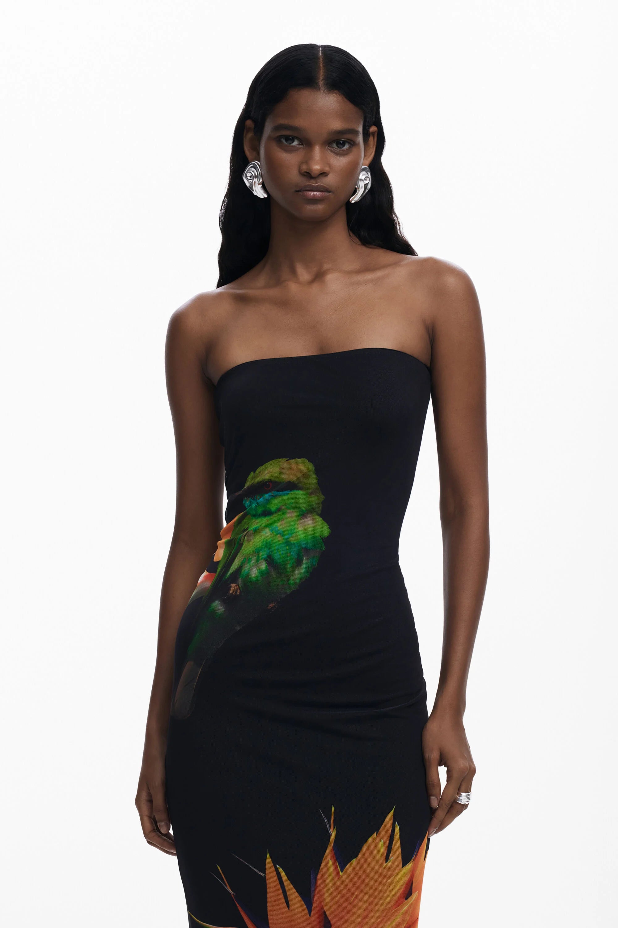Colibri Strapless Dress Black